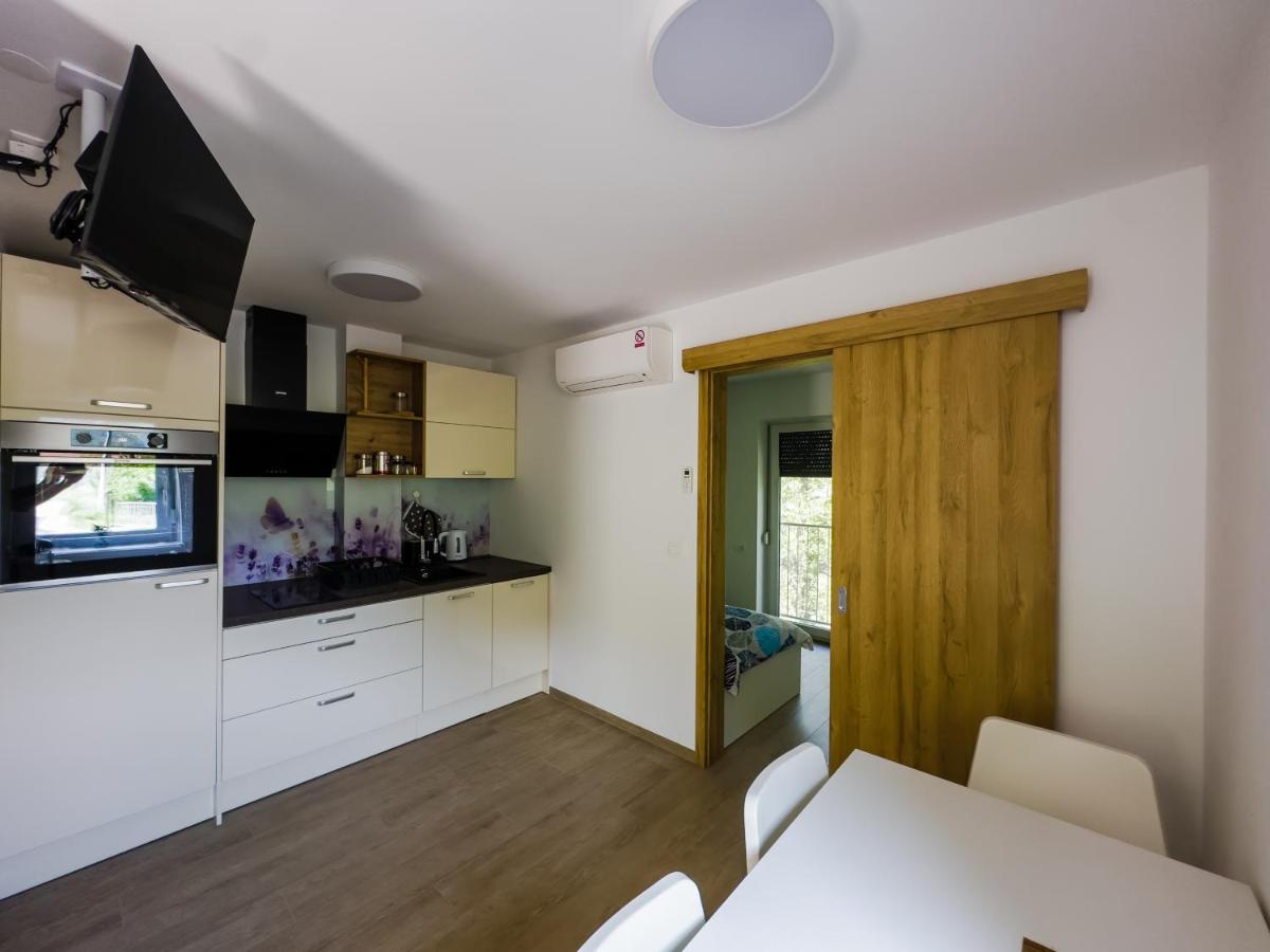 Apartmaji Silva Slap ob Idrijci エクステリア 写真