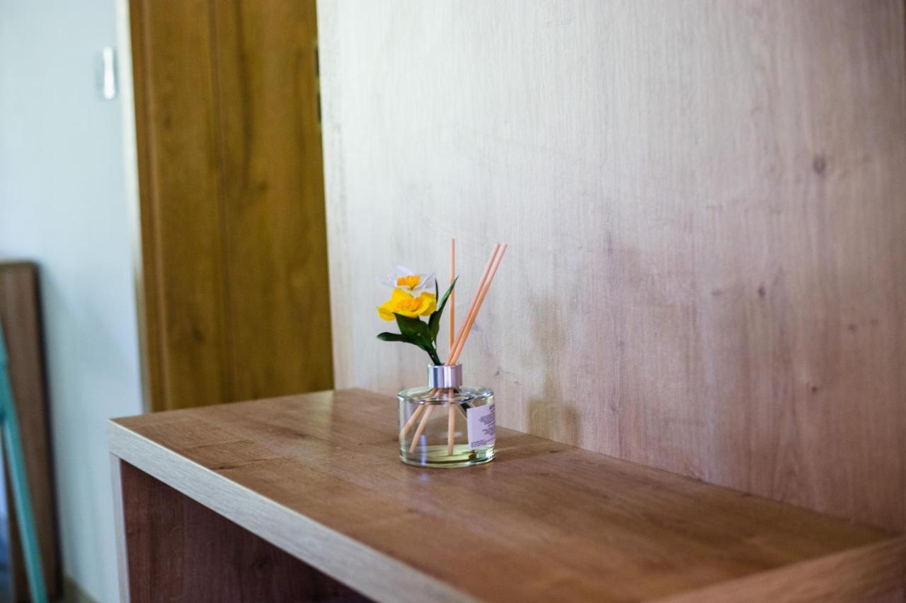 Apartmaji Silva Slap ob Idrijci エクステリア 写真